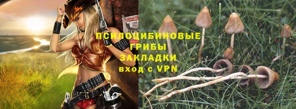 молекула духа Баксан