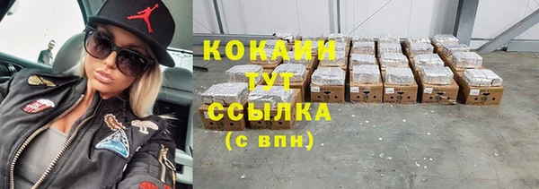Альфа ПВП Аркадак