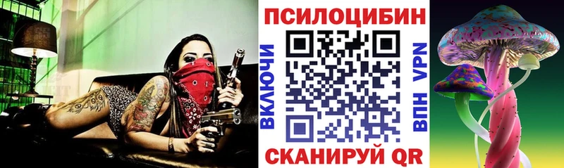 цена наркотик  Островной  Псилоцибиновые грибы Psilocybine cubensis 